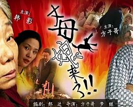 毒舌律师